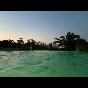 Meet your Posher, Jackson